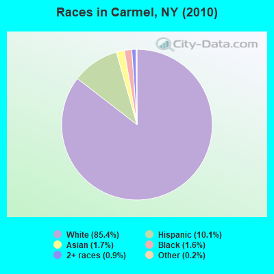 Races in Carmel, NY (2010)