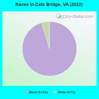 Races in Cats Bridge, VA (2022)