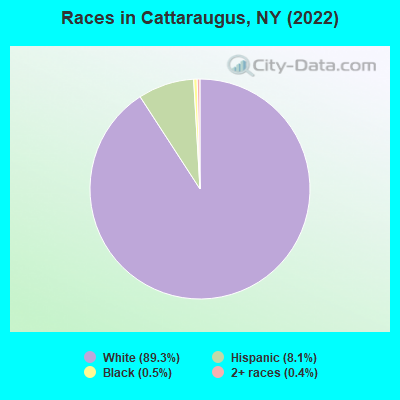 Races in Cattaraugus, NY (2022)