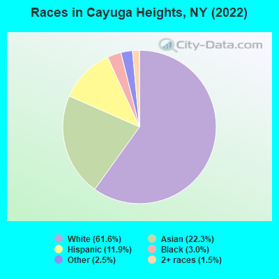 Races in Cayuga Heights, NY (2022)