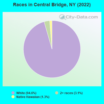 Races in Central Bridge, NY (2022)