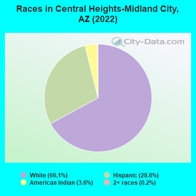 Races in Central Heights-Midland City, AZ (2019)