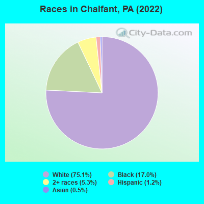 Races in Chalfant, PA (2019)