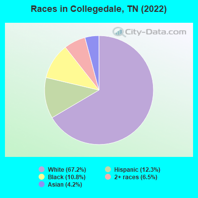 Races in Collegedale, TN (2019)