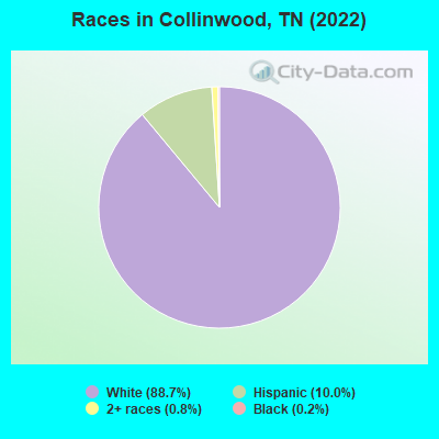 Races in Collinwood, TN (2022)