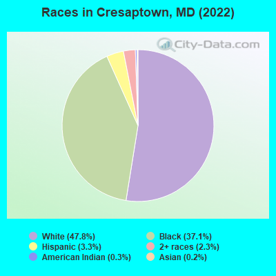 Races in Cresaptown, MD (2022)