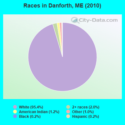 Races in Danforth, ME (2010)