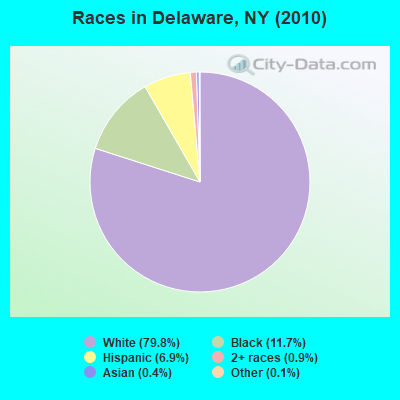 Races in Delaware, NY (2010)