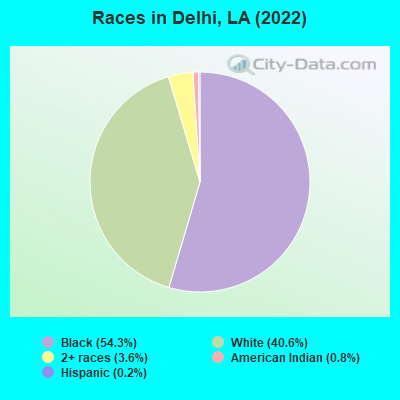 Races in Delhi, LA (2022)