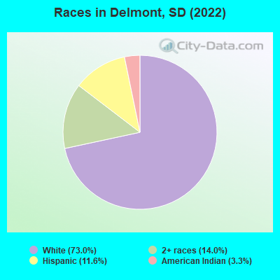 Races in Delmont, SD (2022)