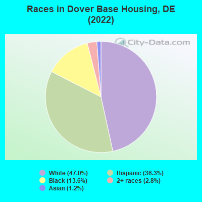Races in Dover Base Housing, DE (2021)