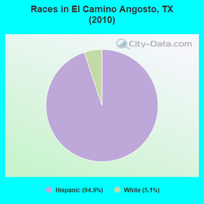 Races in El Camino Angosto, TX (2010)