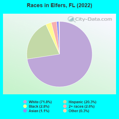 Races in Elfers, FL (2022)