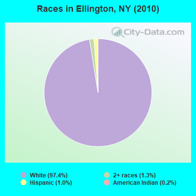 Races in Ellington, NY (2010)