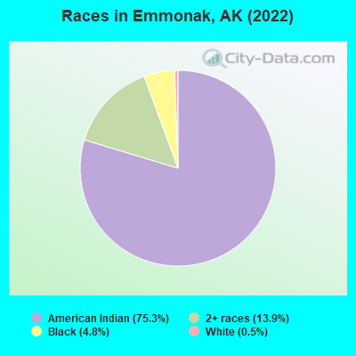 Races in Emmonak, AK (2022)