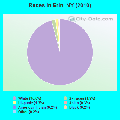 Races in Erin, NY (2010)