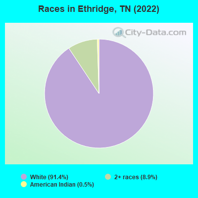 Races in Ethridge, TN (2022)