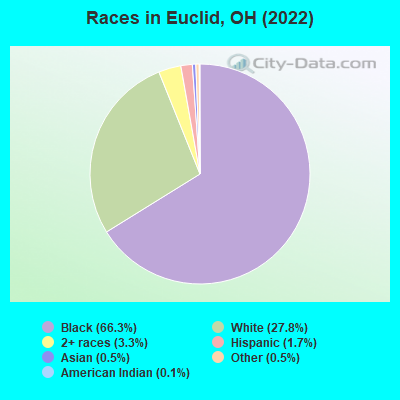 Races in Euclid, OH (2019)