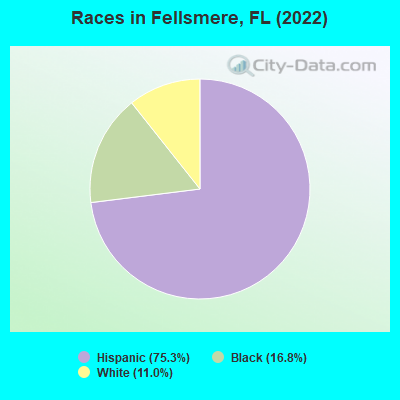 Races in Fellsmere, FL (2022)