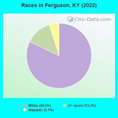 Races in Ferguson, KY (2022)