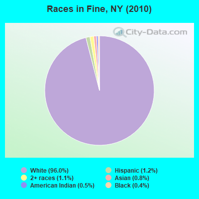 Races in Fine, NY (2010)