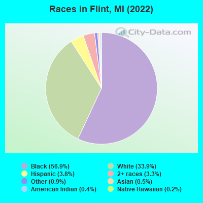 Races in Flint, MI (2021)