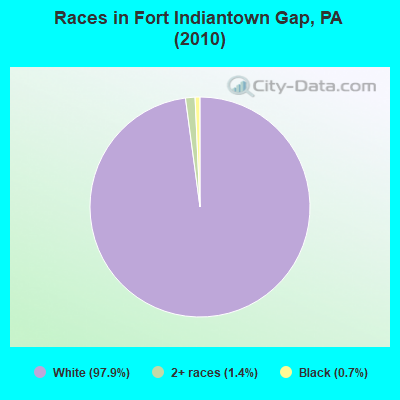 Races in Fort Indiantown Gap, PA (2010)