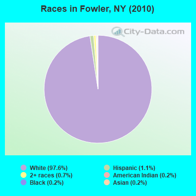 Races in Fowler, NY (2010)