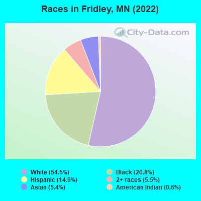 Races in Fridley, MN (2019)