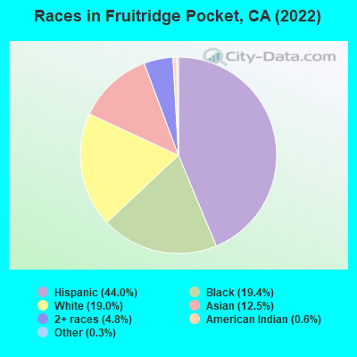 Races in Fruitridge Pocket, CA (2022)