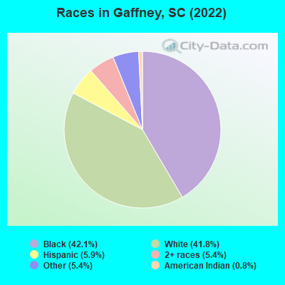 Races in Gaffney, SC (2022)