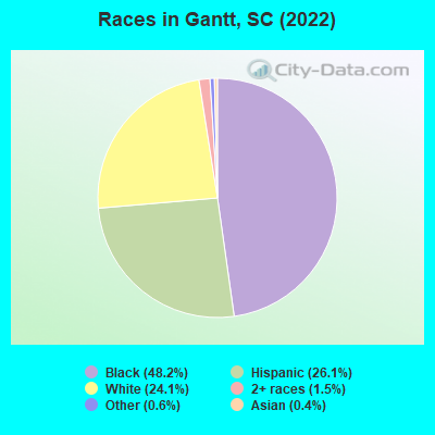 Races in Gantt, SC (2022)