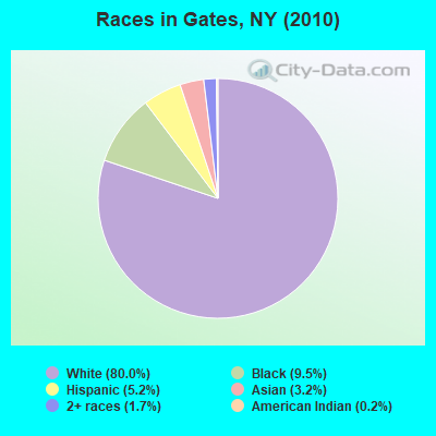Races in Gates, NY (2010)