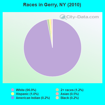 Races in Gerry, NY (2010)
