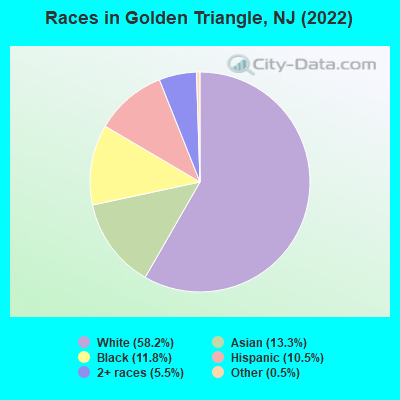 Races in Golden Triangle, NJ (2022)