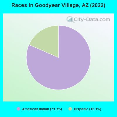 Races in Goodyear Village, AZ (2022)
