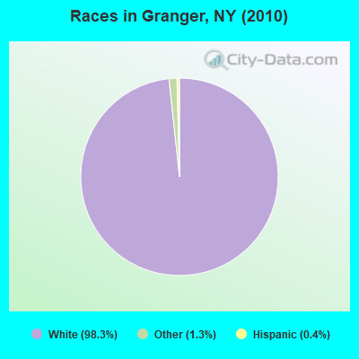 Races in Granger, NY (2010)