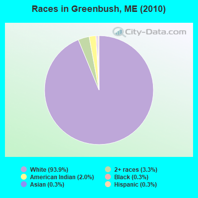 Races in Greenbush, ME (2010)