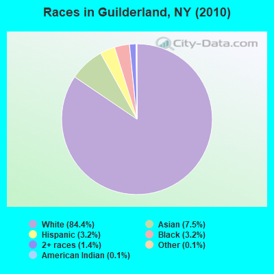 Races in Guilderland, NY (2010)