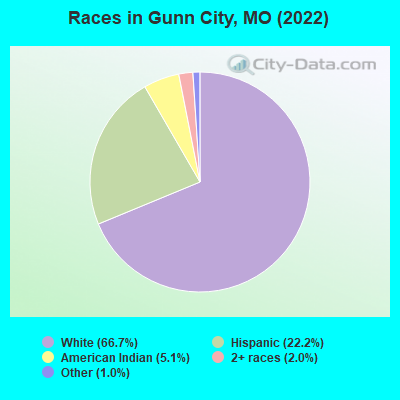 Races in Gunn City, MO (2022)