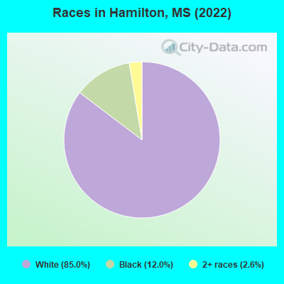 Races in Hamilton, MS (2019)