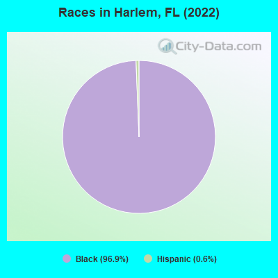 Races in Harlem, FL (2022)