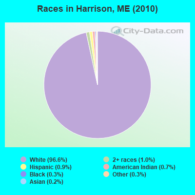 Races in Harrison, ME (2010)
