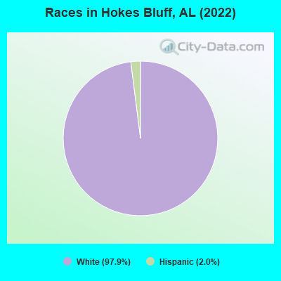Races in Hokes Bluff, AL (2019)