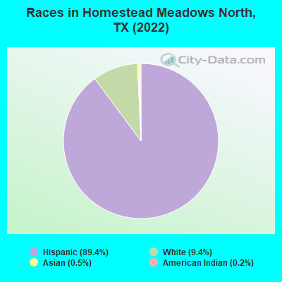 Races in Homestead Meadows North, TX (2022)