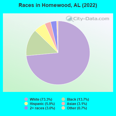 Races in Homewood, AL (2022)