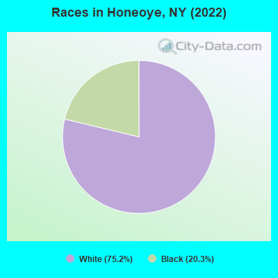 Races in Honeoye, NY (2022)