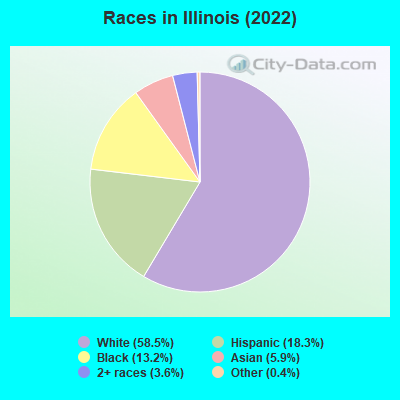Races in Illinois (2019)