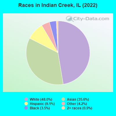 Races in Indian Creek, IL (2019)
