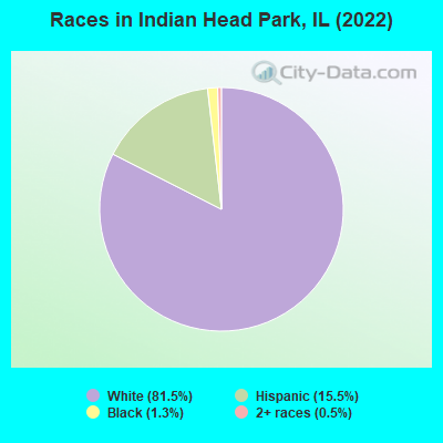 Races in Indian Head Park, IL (2019)